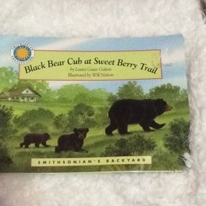 Black Bear Cub at Sweet Berry Trail
